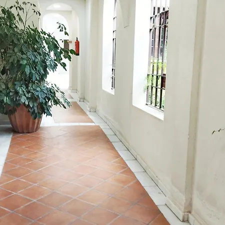 La Taifa Duplex Mezquita Catedral Apartment Córdoba