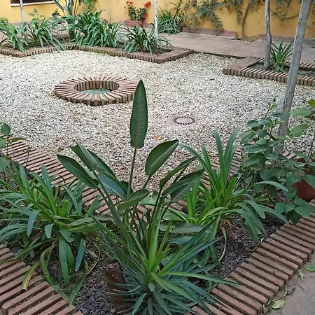 La Pequena Escalera Mezquita Catedral * 科爾多瓦